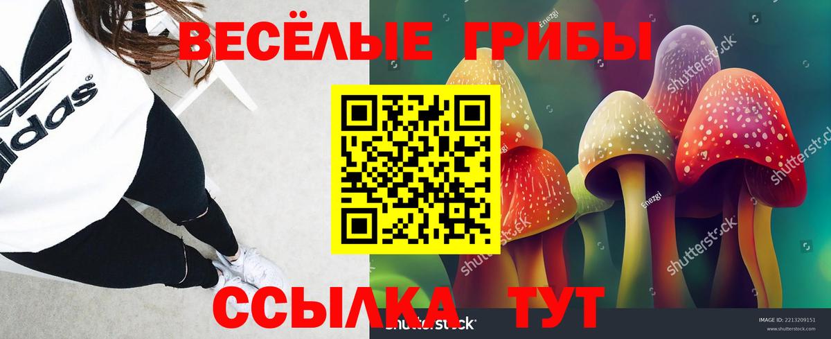 Галлюциногенные грибы MAGIC MUSHROOMS  Псилоцибиновые грибы мухоморы  Вход с VPN  Элиста 